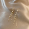 2021 new trendy long tassel ear line big butterfly copper earring female wholesalepicture12