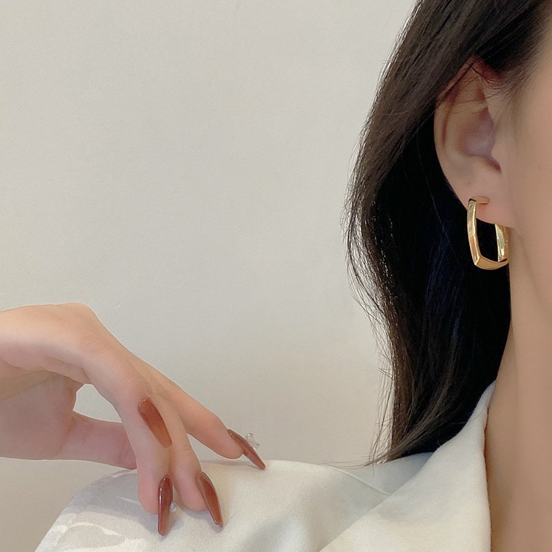 Dongda Fashion Geometry Pattern Personalized Earrings Female Online Influencer Simple Temperament Eardrops Cool Style Design Niche Ear Jewelry