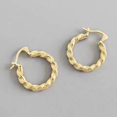 retro twist niche design sense simple earrings wild ear jewelry