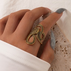 European and American long trend snake print ring punk style metal animal retro exaggerated snake ring