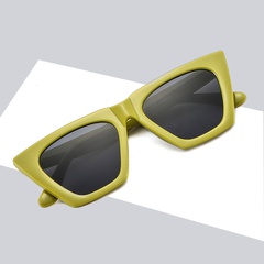 new fashion cat eye Korean sunglasses trend glasses wholesale cross-border