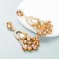 Fashion Color Diamond Series Alloy Rhinestone Geometric Flower Earrings Exaggerated Earringspicture18