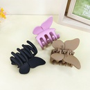 Korean cute butterfly hairpin back head plate candy color frosted catch clip shark clip femalepicture10