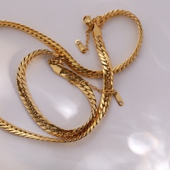 Fashion geometric titanium steel necklace flat snake chain necklace