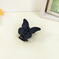 Korean cute butterfly hairpin back head plate candy color frosted catch clip shark clip femalepicture12