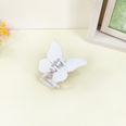 Korean cute butterfly hairpin back head plate candy color frosted catch clip shark clip femalepicture13