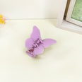 Korean cute butterfly hairpin back head plate candy color frosted catch clip shark clip femalepicture16