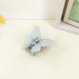 Korean cute butterfly hairpin back head plate candy color frosted catch clip shark clip femalepicture17