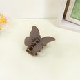 Korean cute butterfly hairpin back head plate candy color frosted catch clip shark clip femalepicture18