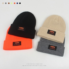 2021 automne et hiver nouveau chapeau chaud mode autocollants en tissu coréen lettre chapeau en tricot