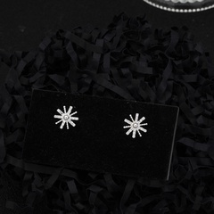 Exquisite fashion snowflake star earrings wholesale