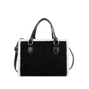 Casual Plush Large Bag Large Capacity Bag for Women 2021 New Western Style Shoulder Bag Autumn and Winter Textured Tote Bagpicture20