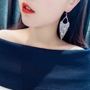 Fashionable Exaggerated Rhinestone Long Tassel Earrings European and American Ins Refined Grace HighGrade Personality Affordable Luxury Earrings for Womenpicture8