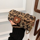 CrossBorder New Arrival Womens Foreign Trade Bags 2021 Winter New Chain Small Bag Leopard Print Shoulder Messenger Bag Mobile Phone Coin Pursepicture14