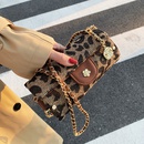 CrossBorder New Arrival Womens Foreign Trade Bags 2021 Winter New Chain Small Bag Leopard Print Shoulder Messenger Bag Mobile Phone Coin Pursepicture17