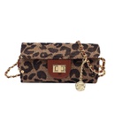 CrossBorder New Arrival Womens Foreign Trade Bags 2021 Winter New Chain Small Bag Leopard Print Shoulder Messenger Bag Mobile Phone Coin Pursepicture15