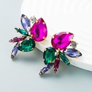 exaggerated fashion glass diamond earrings female trend full diamond earrings wholesalepicture12