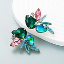 exaggerated fashion glass diamond earrings female trend full diamond earrings wholesalepicture13