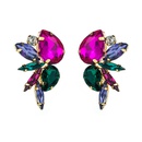 exaggerated fashion glass diamond earrings female trend full diamond earrings wholesalepicture15