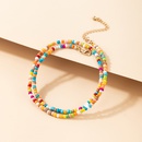 Bohemian Color Rice Bead Multilayer Anklet Ethnic Style Beaded Double Layer Ankletpicture11
