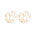 Europe and America Cross Border New Fashion Ins Style Resin round Earrings Personalized Creative Gold Transparent Resin Earrings for Womenpicture10