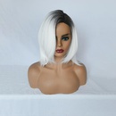 2021 perruque de coiffure partielle  la mode europenne et amricaine argent blanc court cheveux raides NHDSX468862picture8