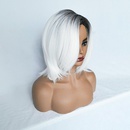 2021 perruque de coiffure partielle  la mode europenne et amricaine argent blanc court cheveux raides NHDSX468862picture10