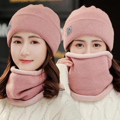 women's autumn and winter knitted hat ear protection woolen cap to keep warm wholesale