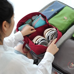 Unterwäsche-BH-Tasche große Kapazität Reisekarikatur-Unterwäsche-Aufbewahrungstasche Großhandel
