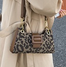Westliche Tasche Frauen 2021 Herbst und Winter neue trend ige Mode Leoparden muster OneShoulder Achsel tasche AllMatch Messenger Bag Bagpicture16