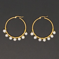 new stainless steel gold-plated freshwater pearl earrings female bohemian earrings wholesale