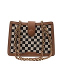 Chain Bag Texture Shoulder Large Capacity Commuter 2021 New Chessboard Plaid Texture Crossbody Tote Retro Womens Bagpicture17