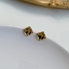 Korean ins geometric leopard earrings fashion personality simple resin earrings