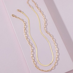 Qingdao DAVEY European and American Fashion Jewelry Cross-Border E-Commerce Supply Double-Layer Metal Chain Necklace Set