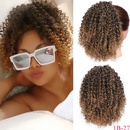 Europische und amerikanische Percke Damen kleine lockige Haare Afro Percken Grohandelpicture12