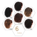 Europische und amerikanische Percke Damen kleine lockige Haare Afro Percken Grohandelpicture14