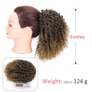 Europische und amerikanische Percke Damen kleine lockige Haare Afro Percken Grohandelpicture15