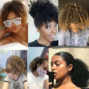 Europische und amerikanische Percke Damen kleine lockige Haare Afro Percken Grohandelpicture18