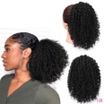 Europische und amerikanische Percke Damen kleine lockige Haare Afro Percken Grohandelpicture19