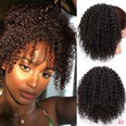 Europische und amerikanische Percke Damen kleine lockige Haare Afro Percken Grohandelpicture21