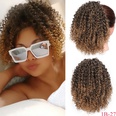 Europische und amerikanische Percke Damen kleine lockige Haare Afro Percken Grohandelpicture22