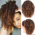 Europische und amerikanische Percke Damen kleine lockige Haare Afro Percken Grohandelpicture23