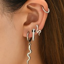 Fashion personality snake geometric alloy earring setpicture5