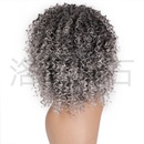 Perruque en fibres chimiques pour femmes  la mode perruque grise et moelleuse en grospicture10