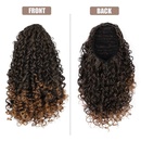 European and American wave small curly wig piece chemical fiber wig female stretch mesh ponytailpicture11