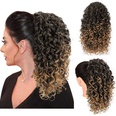 European and American wave small curly wig piece chemical fiber wig female stretch mesh ponytailpicture17