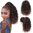 European and American wave small curly wig piece chemical fiber wig female stretch mesh ponytailpicture19