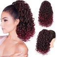 European and American wave small curly wig piece chemical fiber wig female stretch mesh ponytailpicture21
