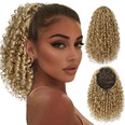 European and American wave small curly wig piece chemical fiber wig female stretch mesh ponytailpicture23