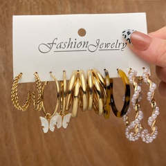 Cross-Border New Simple Style Cute Women's Jewelry Dripping Butterfly Three-Tube Winding Pearl Leopard Print Earrings 5-Piece Set